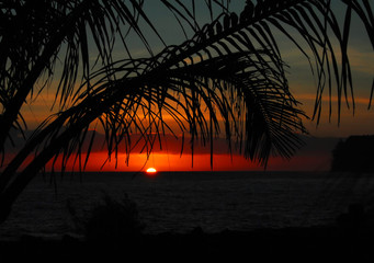 免费英语口语培训/英语口语培训网校