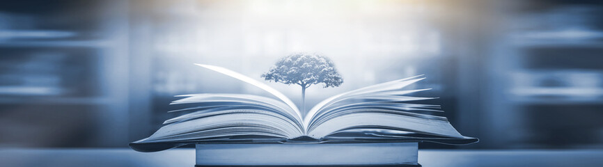 北京电动汽车价格/买车在线咨询预约