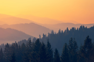 七年级下册数学期末试卷及答案（七年级上册数学期末试卷）