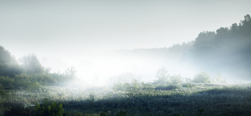 vivo智能手机多少钱（vivo智能手机价格表官方网站）