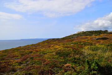 【自考成绩查询系统入口,自考本科报名官网入口】