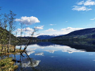 vivo智能手机多少钱（vivo智能手机价格表官方网站）