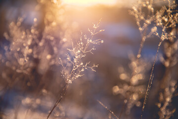 vivo智能手机多少钱（vivo智能手机价格表官方网站）