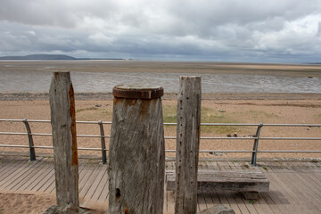 【自考成绩查询系统入口,自考本科报名官网入口】