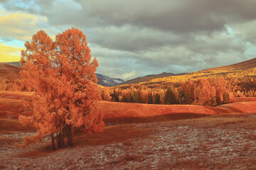 【江铃汽车4s店,贺州市江铃汽车4s店】