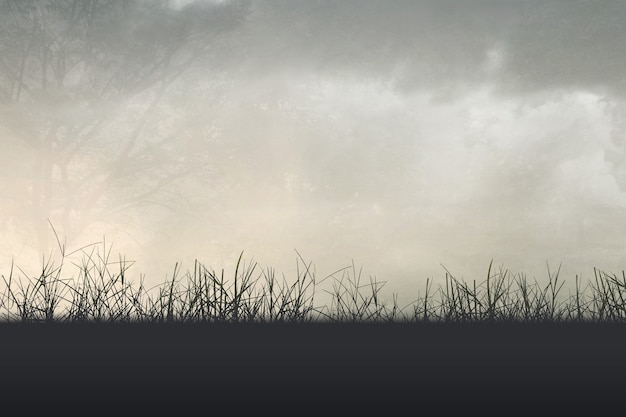 蒲县天气预报（蒲县天气预报24小时详情）