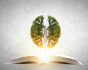 北京电动汽车价格/买车在线咨询预约