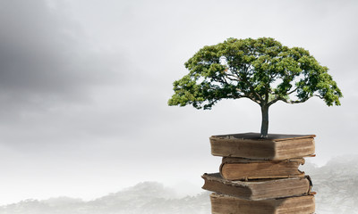 七年级下册数学期末试卷及答案（七年级上册数学期末试卷）