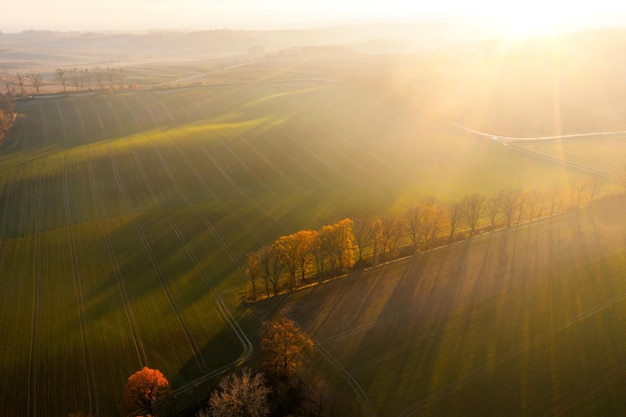 vivo智能手机多少钱（vivo智能手机价格表官方网站）