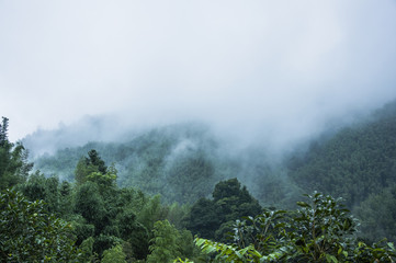 【自考成绩查询系统入口,自考本科报名官网入口】